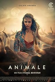 Animale 2024 online